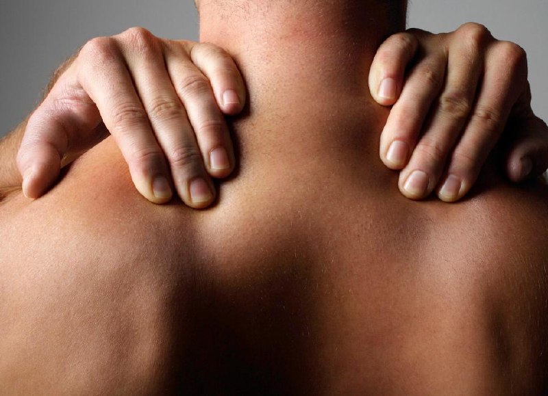 Елена Кравцова Portfolio 2